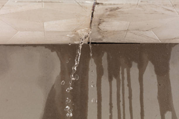 Professional Structural Drying technician working in Roscommon, MI